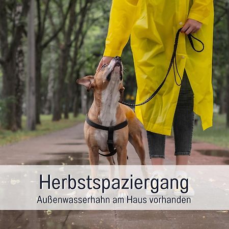 Ferienloft Sternenblick - Strandnah, Haustierfreundlich, Tolle Kueche, Optimal Fuer Workation, 4 Personen Steinberg  Luaran gambar