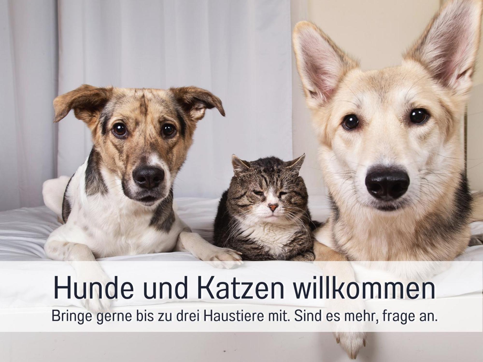 Ferienloft Sternenblick - Strandnah, Haustierfreundlich, Tolle Kueche, Optimal Fuer Workation, 4 Personen Steinberg  Luaran gambar