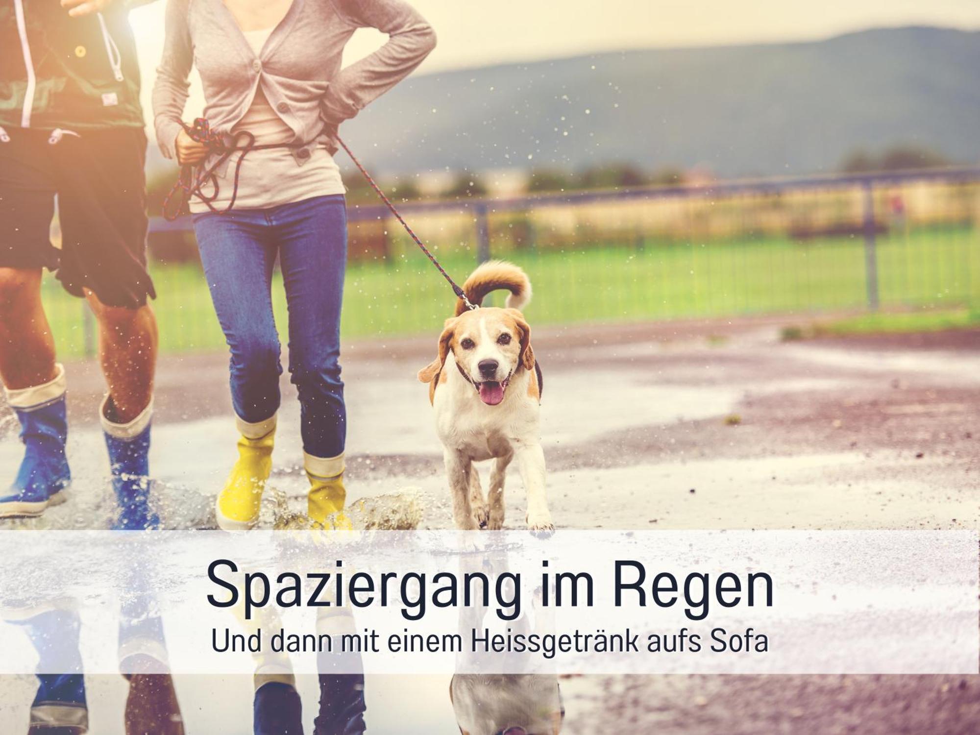 Ferienloft Sternenblick - Strandnah, Haustierfreundlich, Tolle Kueche, Optimal Fuer Workation, 4 Personen Steinberg  Luaran gambar