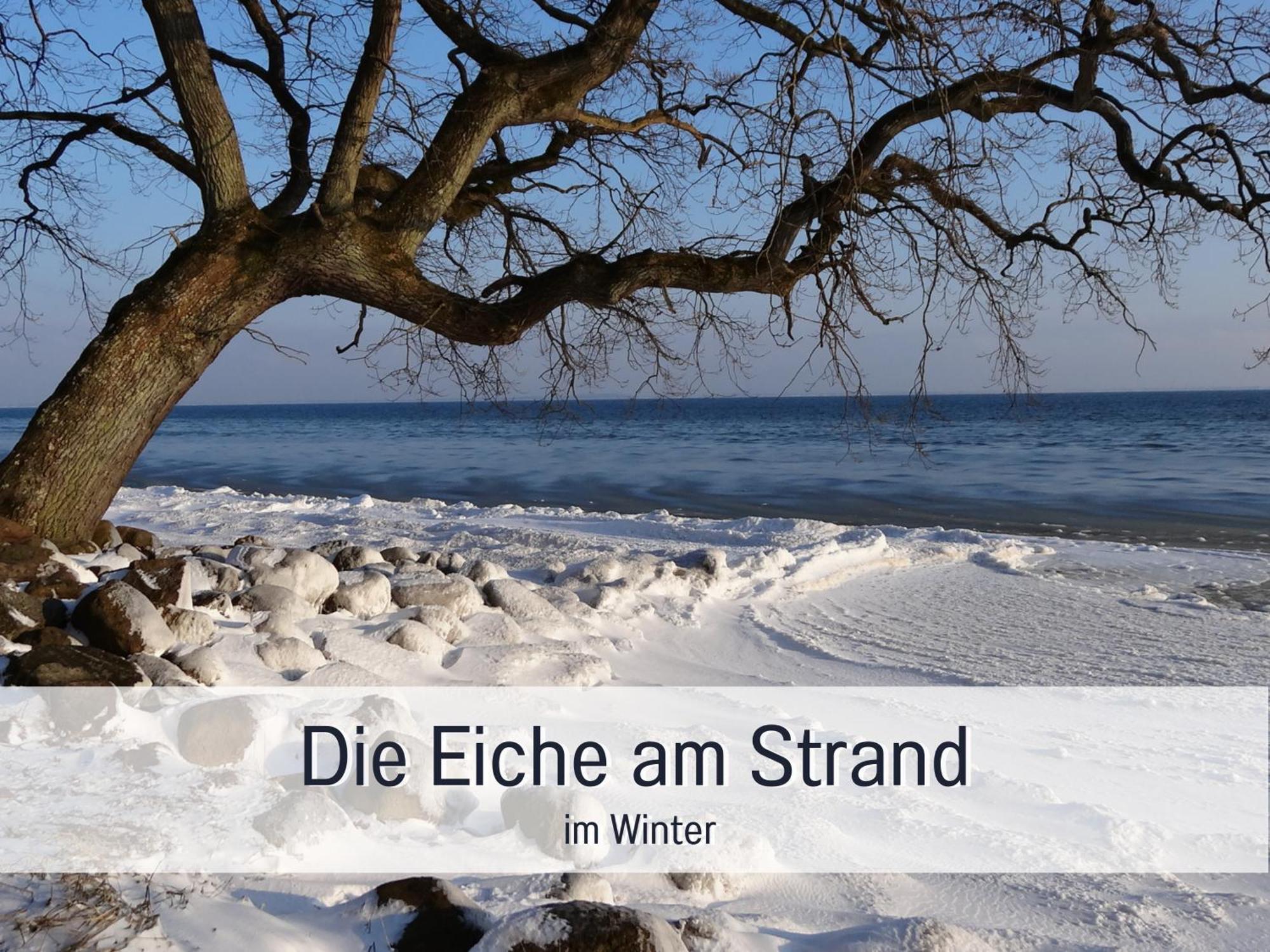 Ferienloft Sternenblick - Strandnah, Haustierfreundlich, Tolle Kueche, Optimal Fuer Workation, 4 Personen Steinberg  Luaran gambar