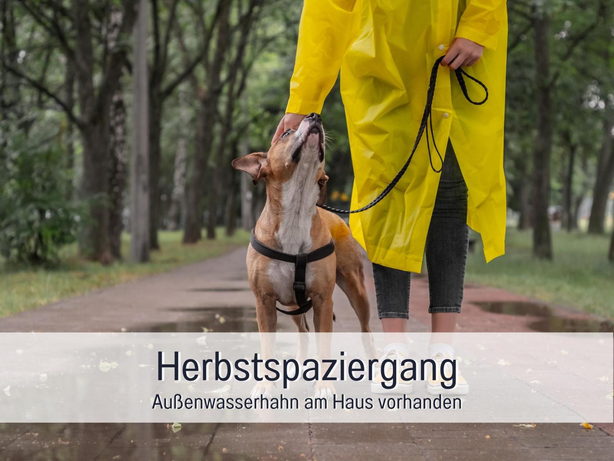 Ferienloft Sternenblick - Strandnah, Haustierfreundlich, Tolle Kueche, Optimal Fuer Workation, 4 Personen Steinberg  Luaran gambar