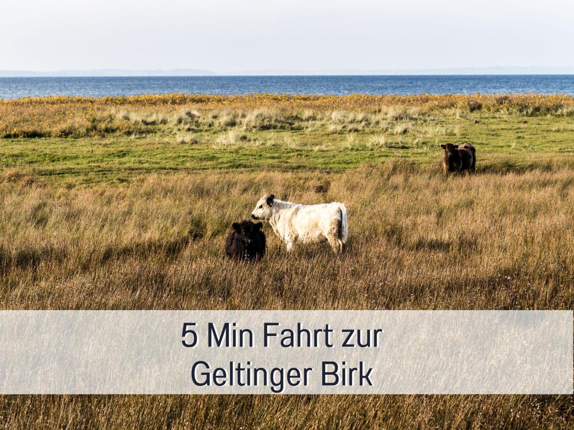 Ferienloft Sternenblick - Strandnah, Haustierfreundlich, Tolle Kueche, Optimal Fuer Workation, 4 Personen Steinberg  Luaran gambar